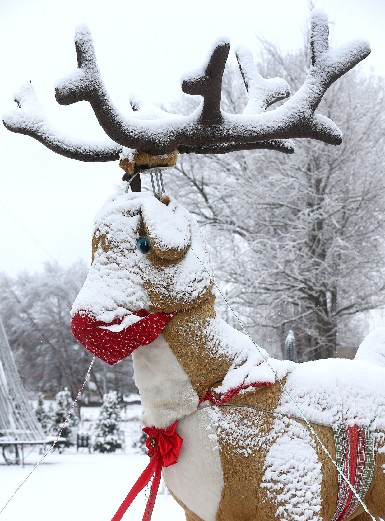 Picture perfect snow